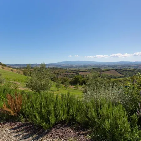 - Ambretta Campagnatico